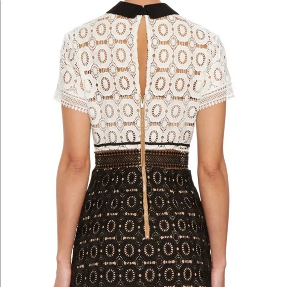 ❌Sold❌ Collar Dress GUC - Picture 6 of 6